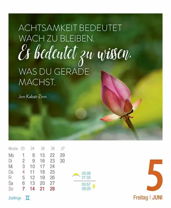 Bild: 9783731890331 | Zeit für mich 2026 | Aufstellbarer Tages-Abreisskalender. 12 x 16 cm