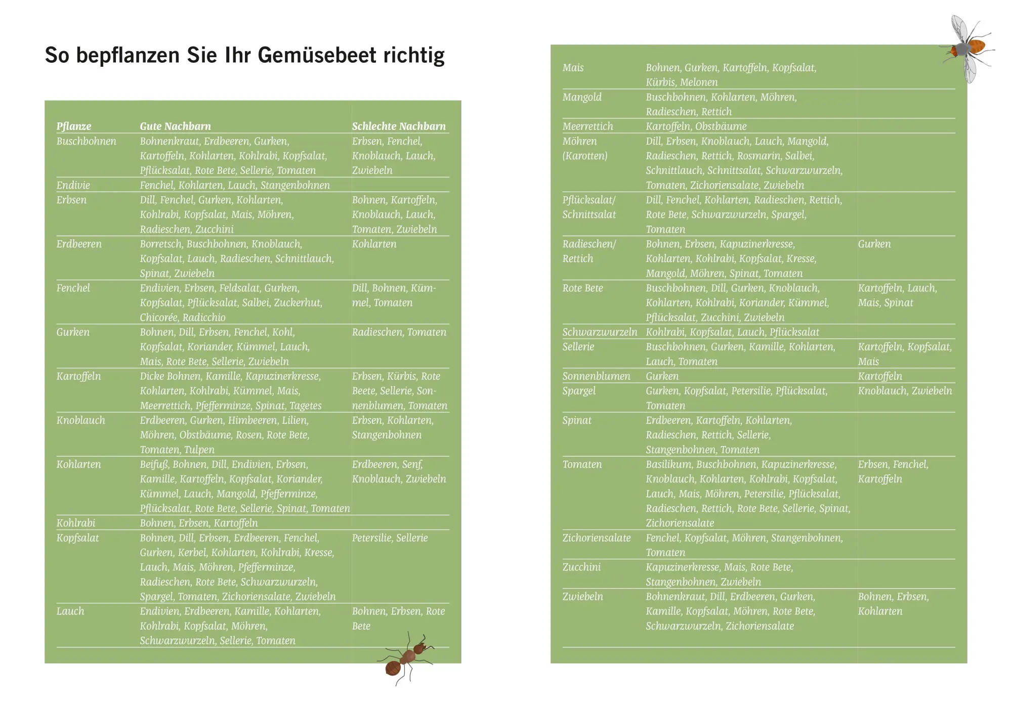 Bild: 9783965840331 | Die Garten-Docs | Geniale Antworten auf die wichtigsten Gartenfragen