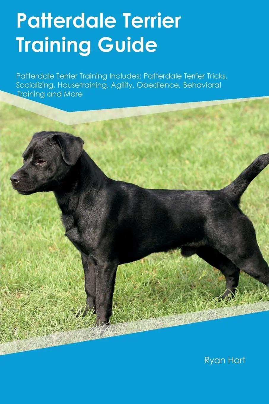 Cover: 9781395860431 | Patterdale Terrier Training Guide Patterdale Terrier Training Includes