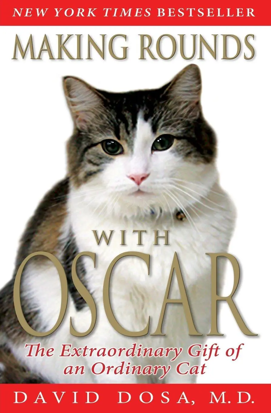 Cover: 9781401310431 | Making Rounds with Oscar | The Extraordinary Gift of an Ordinary Cat