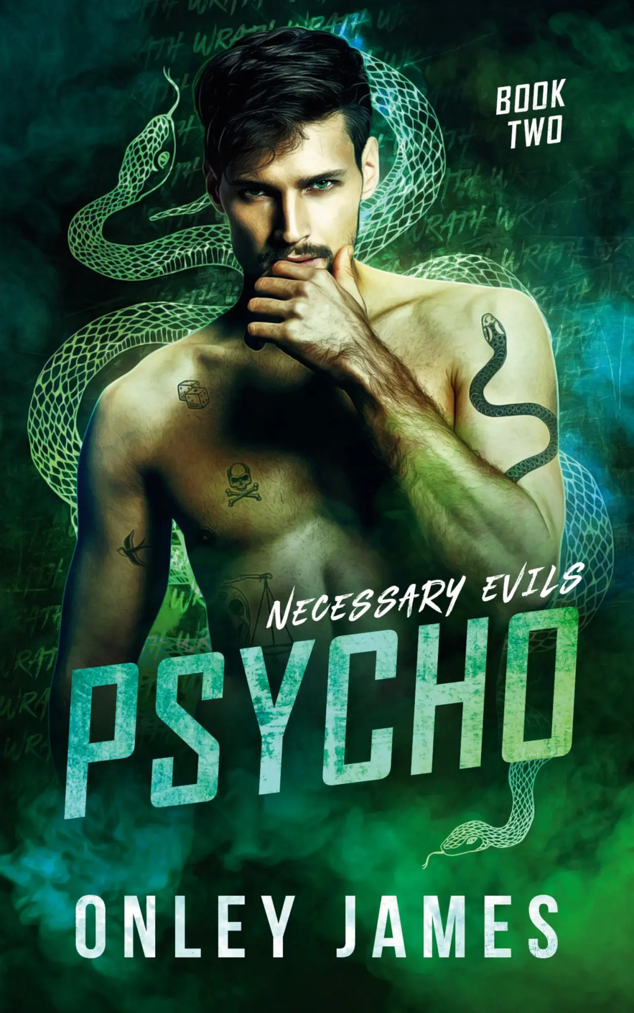 Cover: 9781685240431 | Psycho | Onley James | Taschenbuch | Englisch | 2021