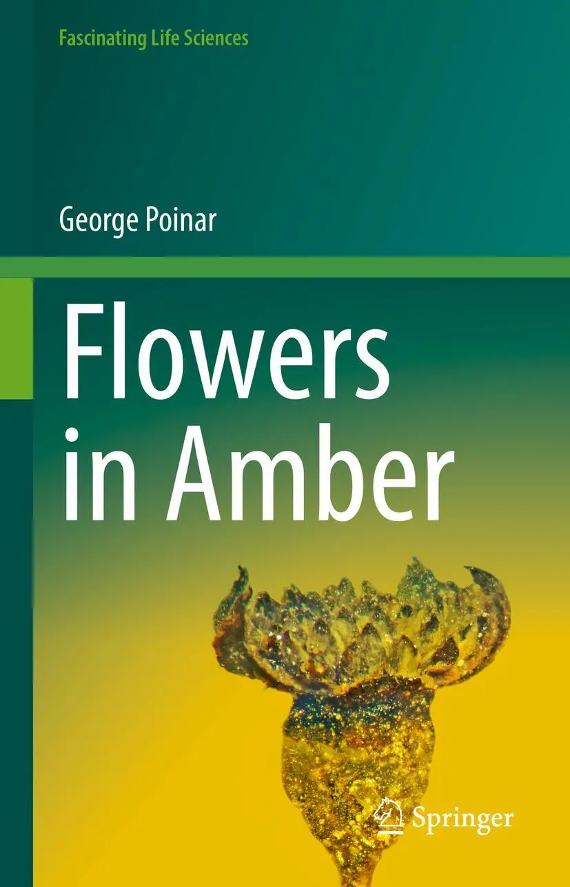 Cover: 9783031090431 | Flowers in Amber | George Poinar | Buch | xv | Englisch | 2022