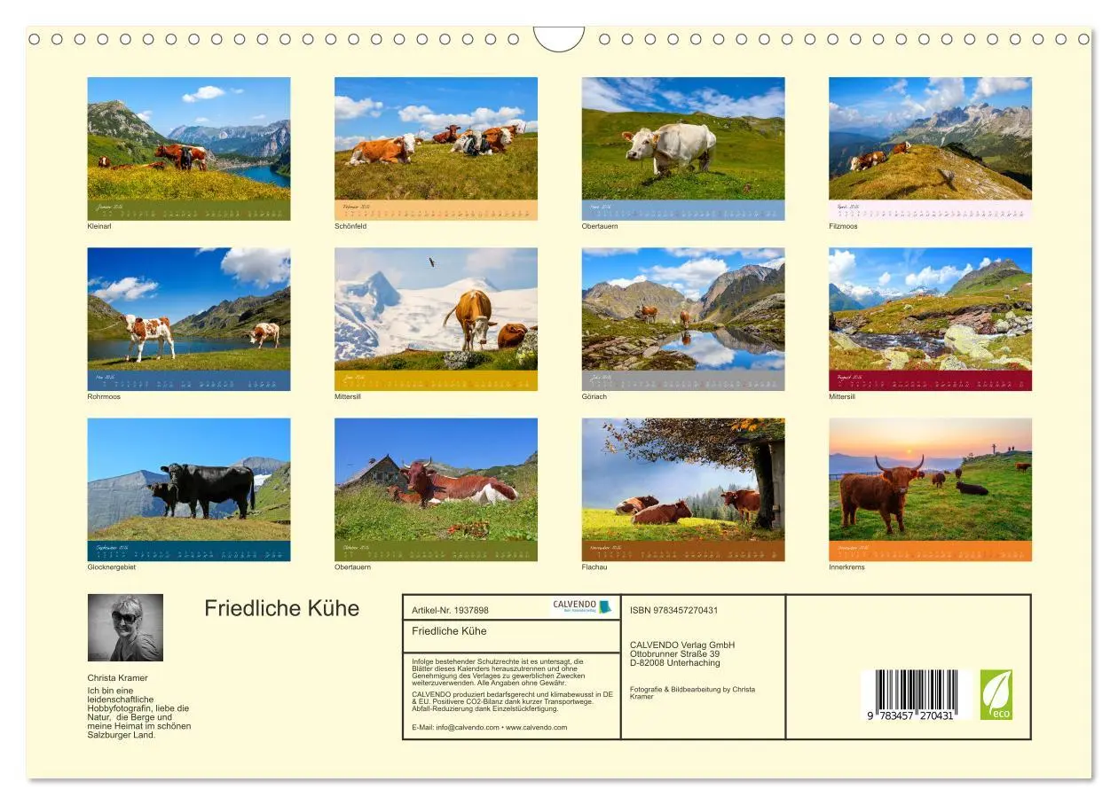 Bild: 9783457270431 | Friedliche Kühe (Wandkalender 2026 DIN A3 quer), CALVENDO...