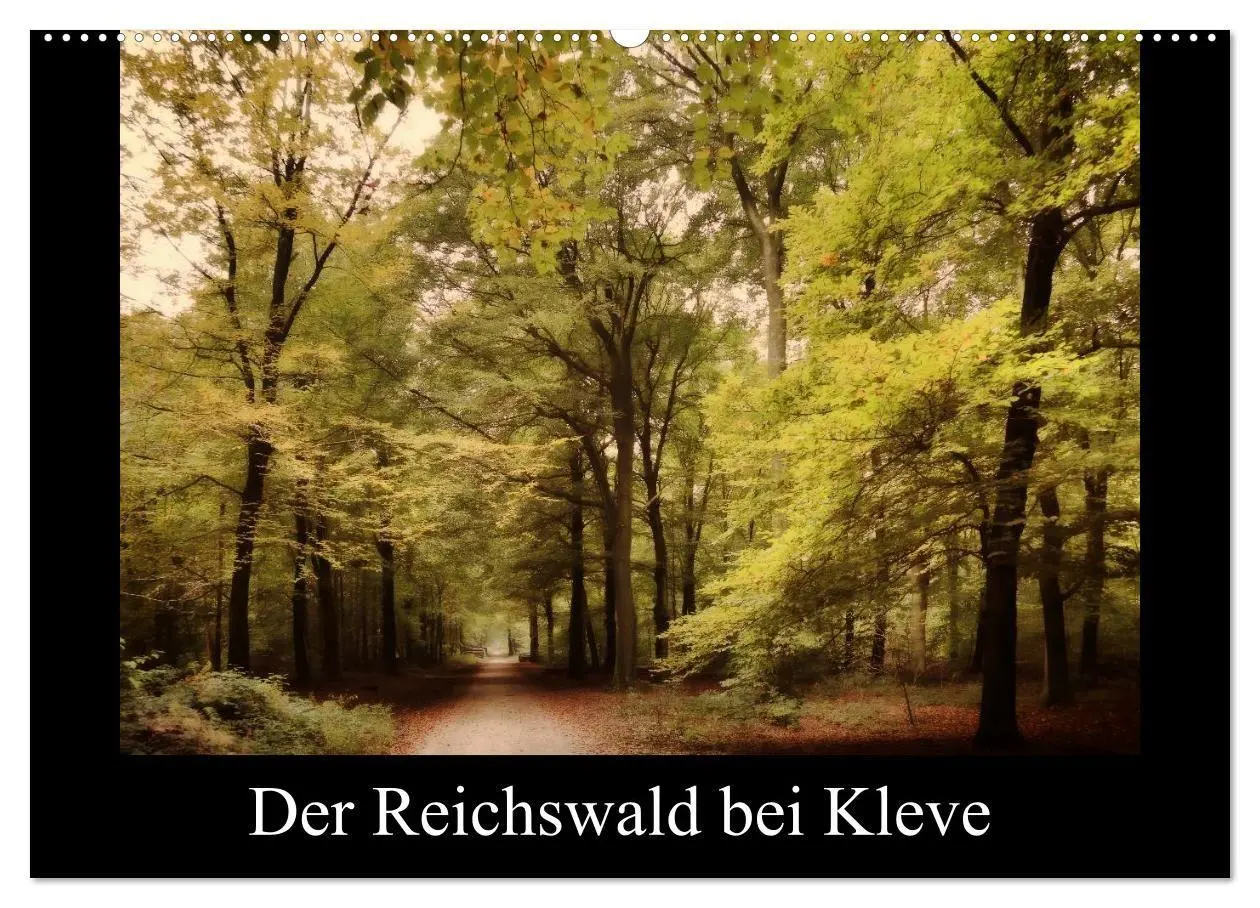 Cover: 9783569900431 | Der Reichswald bei Kleve (Wandkalender 2027 DIN A2 quer), CALVENDO...
