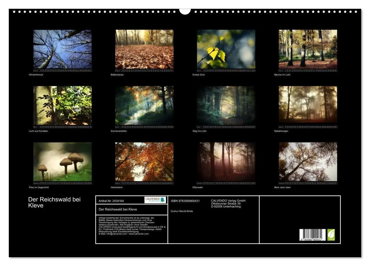 Bild: 9783569900431 | Der Reichswald bei Kleve (Wandkalender 2027 DIN A2 quer), CALVENDO...