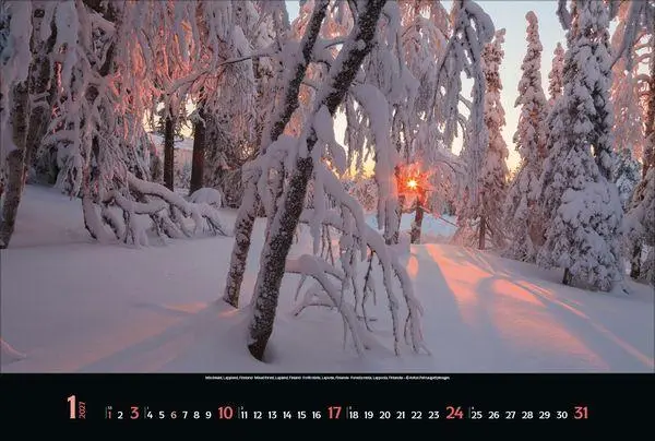 Bild: 9783819300431 | Magische Wälder 2027 | Verlag Korsch | Kalender | 14 S. | Deutsch