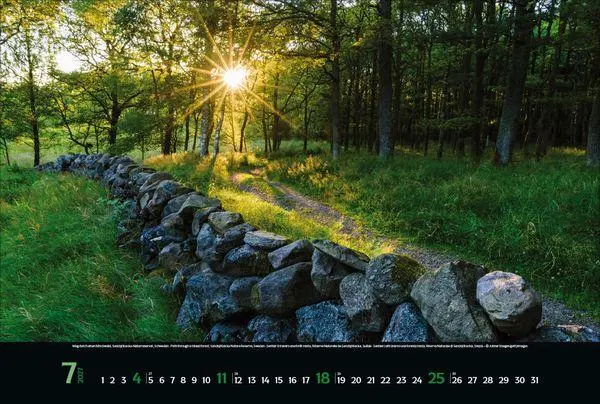 Bild: 9783819300431 | Magische Wälder 2027 | Verlag Korsch | Kalender | 14 S. | Deutsch