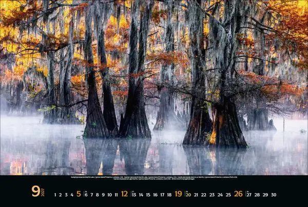 Bild: 9783819300431 | Magische Wälder 2027 | Verlag Korsch | Kalender | 14 S. | Deutsch