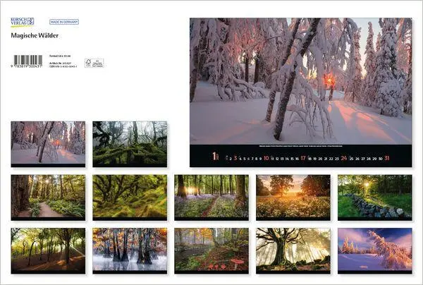Bild: 9783819300431 | Magische Wälder 2027 | Verlag Korsch | Kalender | 14 S. | Deutsch