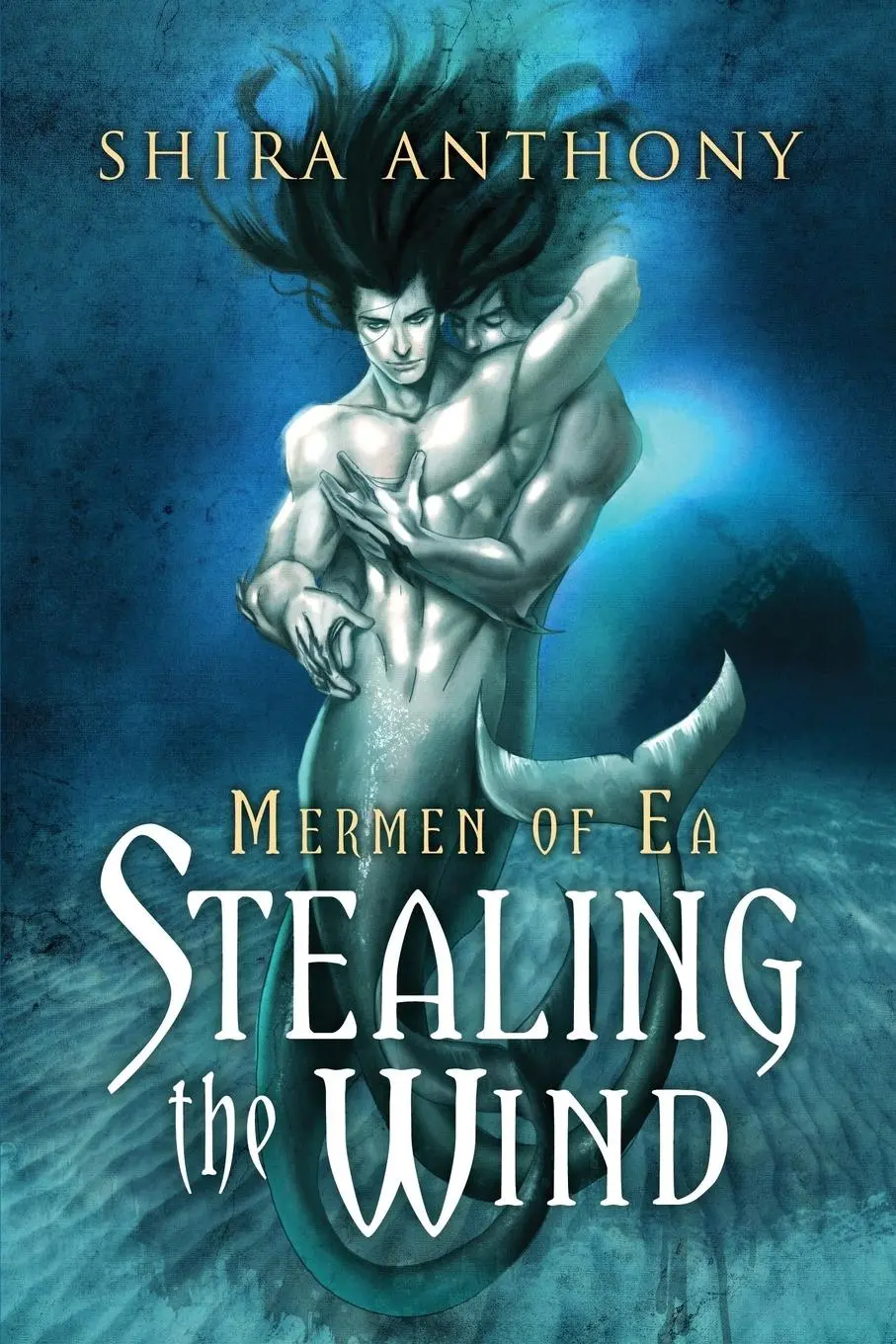 Cover: 9781627980531 | Stealing the Wind | Shira Anthony | Taschenbuch | Englisch | 2013