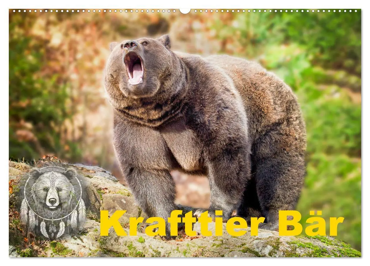 Cover: 9783457260531 | Krafttier Bär (Wandkalender 2026 DIN A2 quer), CALVENDO Monatskalender