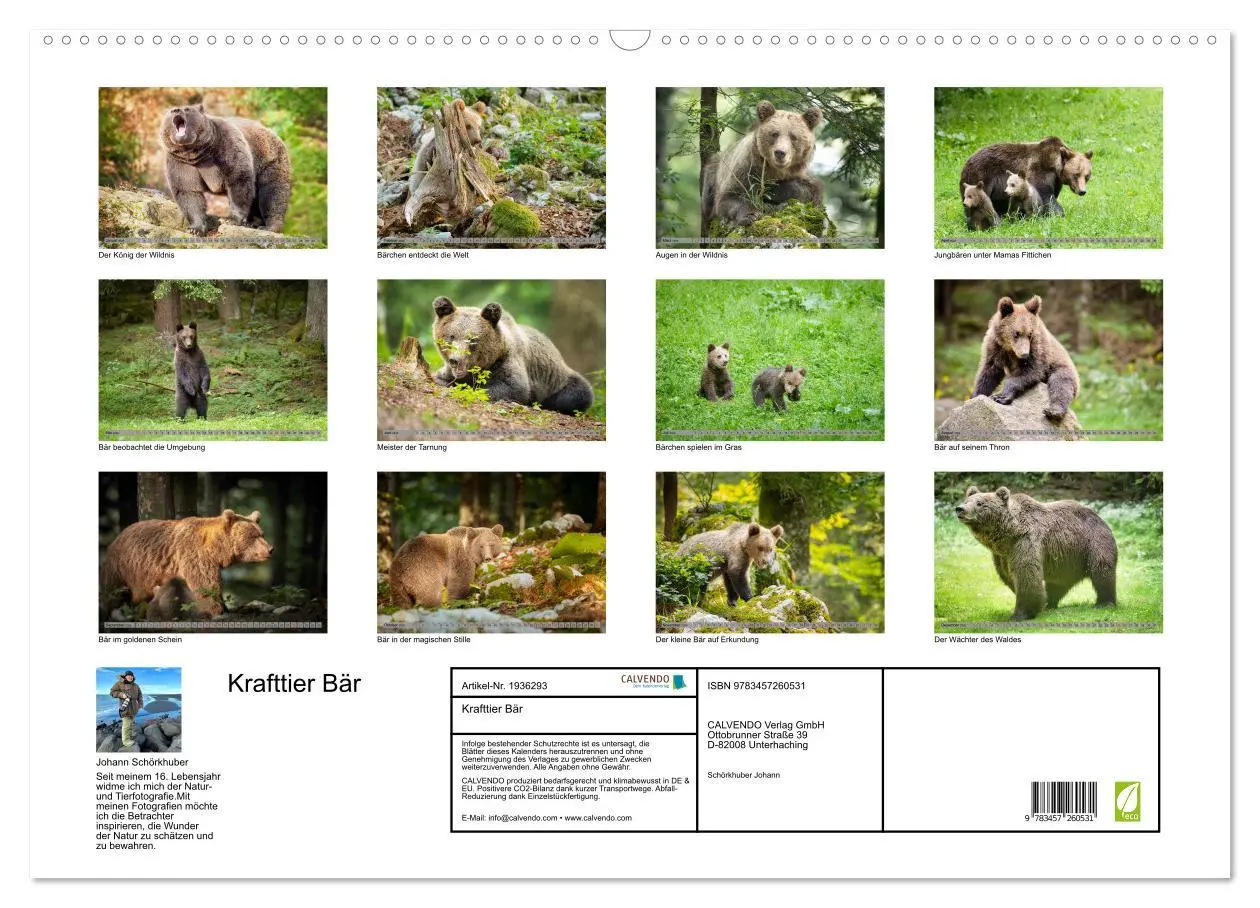 Bild: 9783457260531 | Krafttier Bär (Wandkalender 2026 DIN A2 quer), CALVENDO Monatskalender