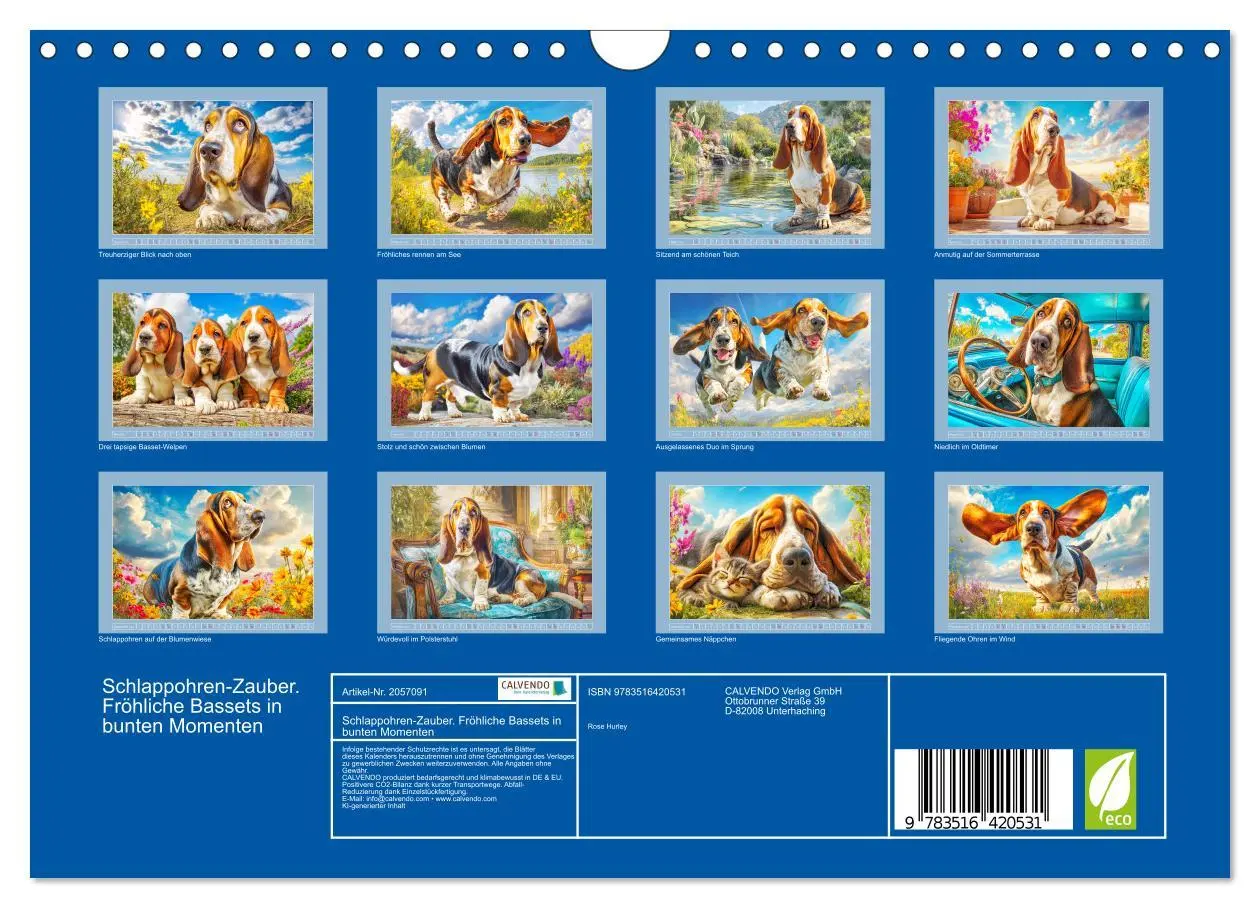 Bild: 9783516420531 | Schlappohren-Zauber. Fröhliche Bassets in bunten Momenten...