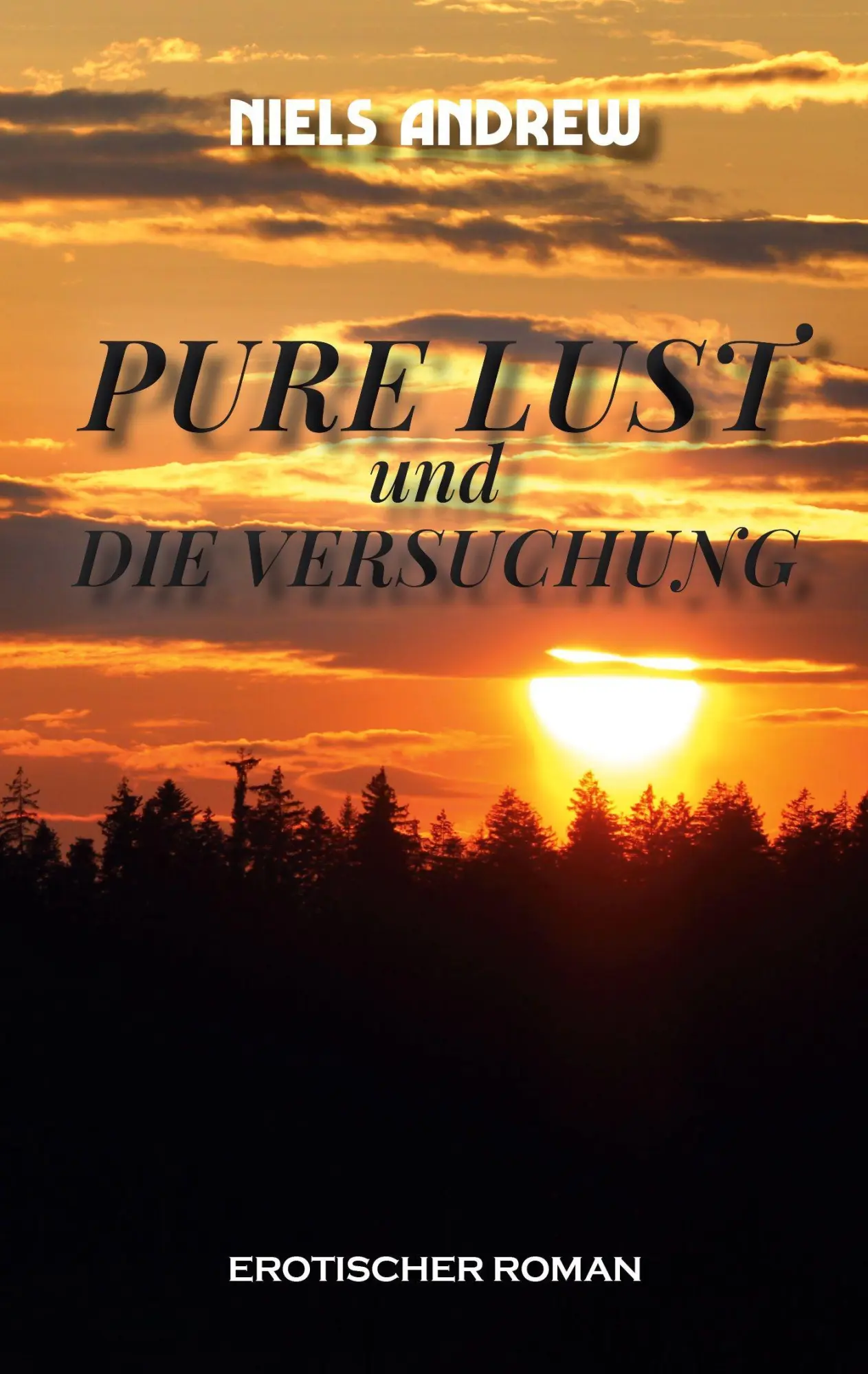 Cover: 9783695170531 | Pure Lust | und die Versuchung | Niels Andrew | Taschenbuch | 310 S.