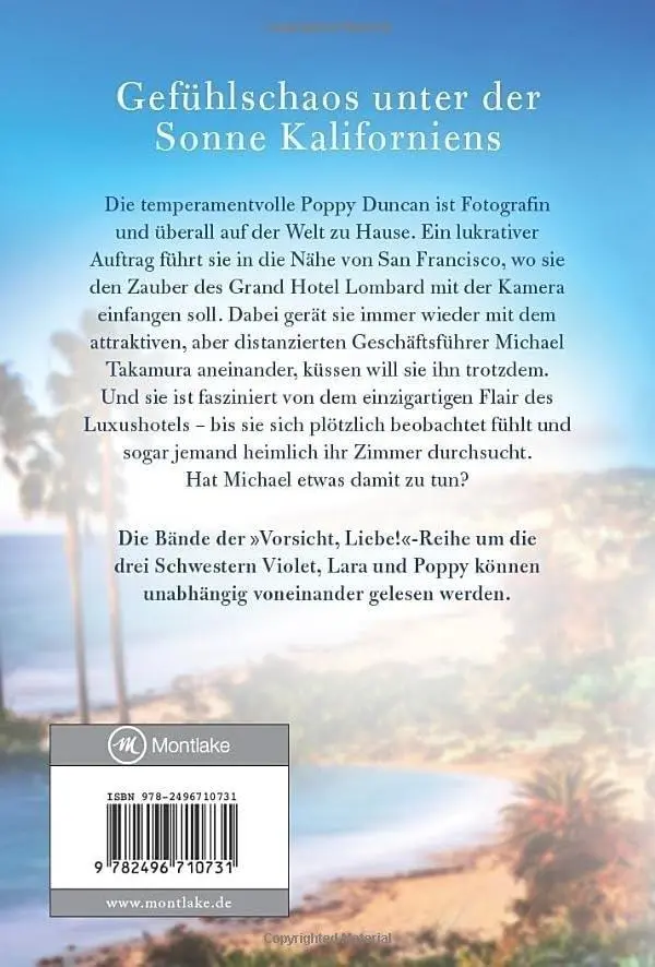 Rückseite: 9782496710731 | Ein trügerisches Bild | Amélie Duval | Taschenbuch | 350 S. | Deutsch