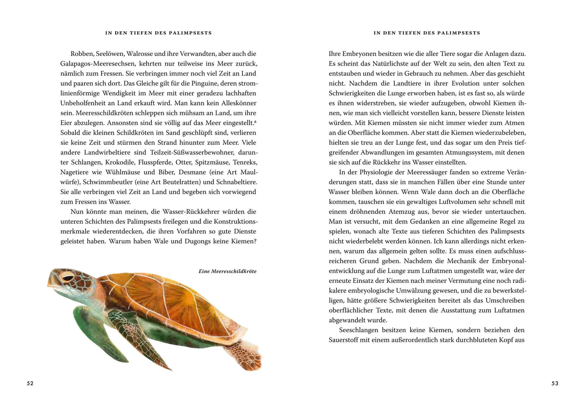 Bild: 9783455020731 | Das große Buch der Evolution | Richard Dawkins | Buch | 464 S. | 2025