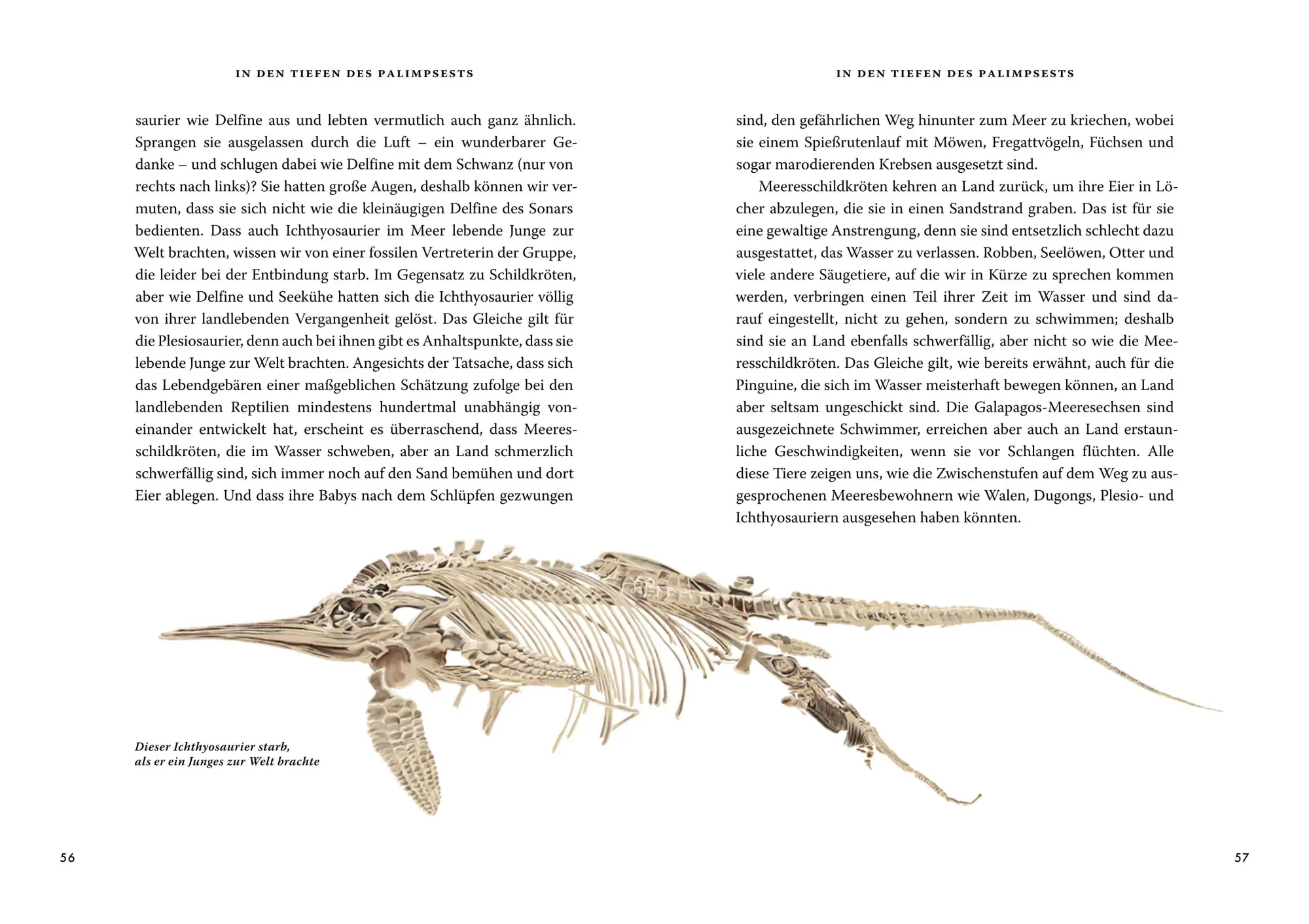 Bild: 9783455020731 | Das große Buch der Evolution | Richard Dawkins | Buch | 464 S. | 2025