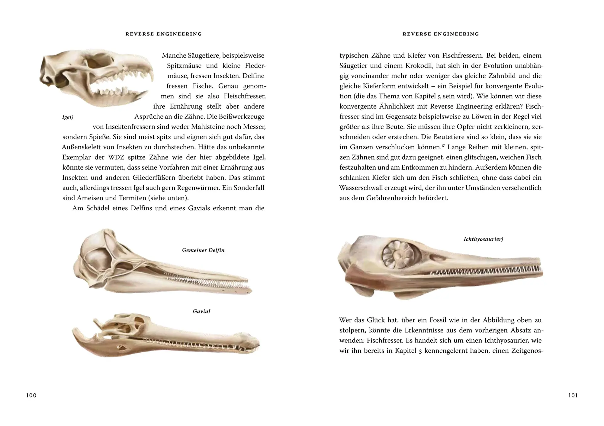 Bild: 9783455020731 | Das große Buch der Evolution | Richard Dawkins | Buch | 464 S. | 2025