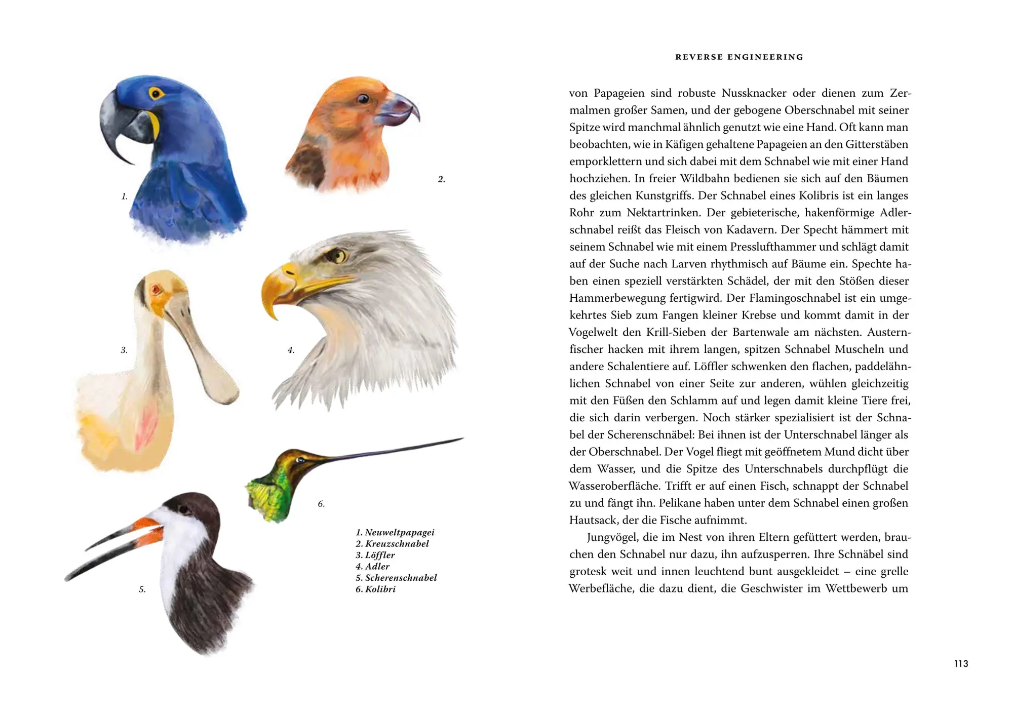 Bild: 9783455020731 | Das große Buch der Evolution | Richard Dawkins | Buch | 464 S. | 2025