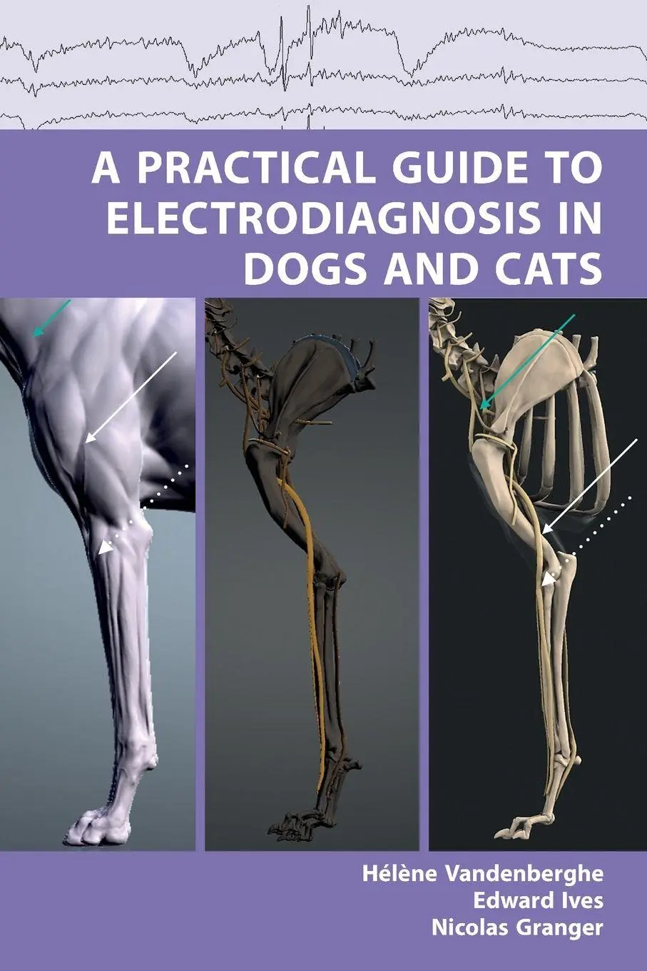 Cover: 9781911450931 | A Practical Guide to Electrodiagnosis in Dogs and Cats | Taschenbuch