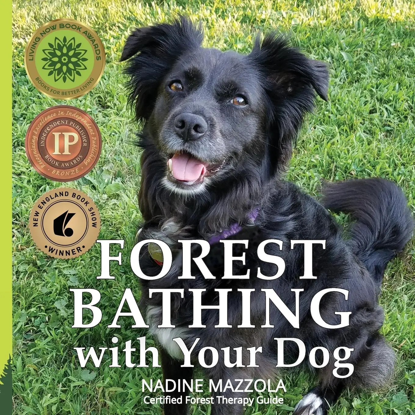 Cover: 9781733211031 | Forest Bathing with your Dog | Nadine Mazzola | Taschenbuch | Englisch