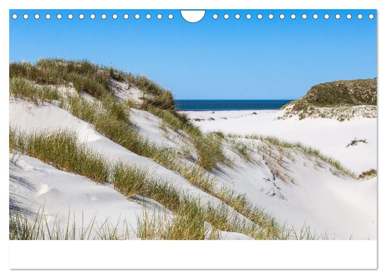 Bild: 9783383861031 | Amrum - Das Paradies in der Nordsee (Wandkalender 2025 DIN A4...