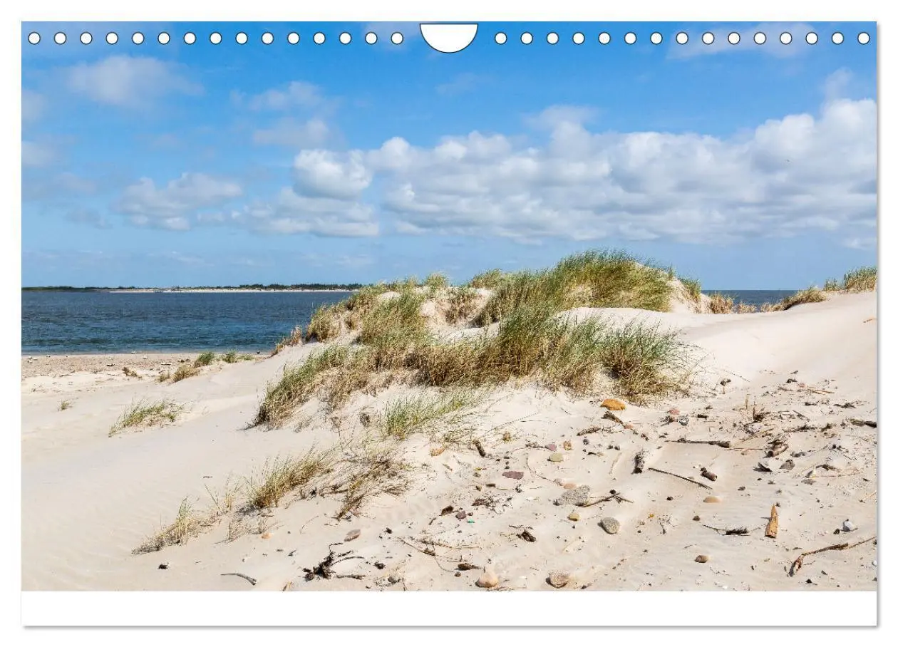 Bild: 9783383861031 | Amrum - Das Paradies in der Nordsee (Wandkalender 2025 DIN A4...