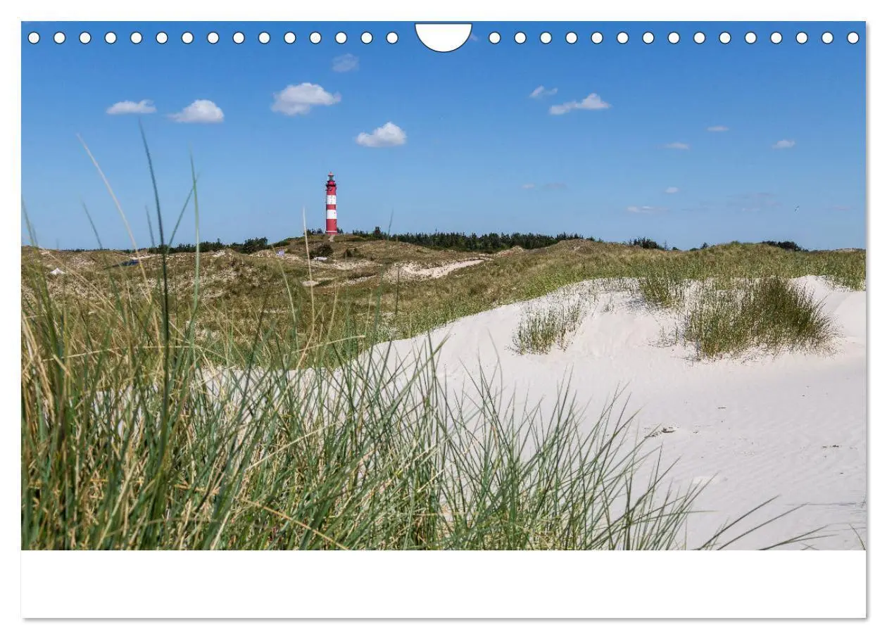 Bild: 9783383861031 | Amrum - Das Paradies in der Nordsee (Wandkalender 2025 DIN A4...