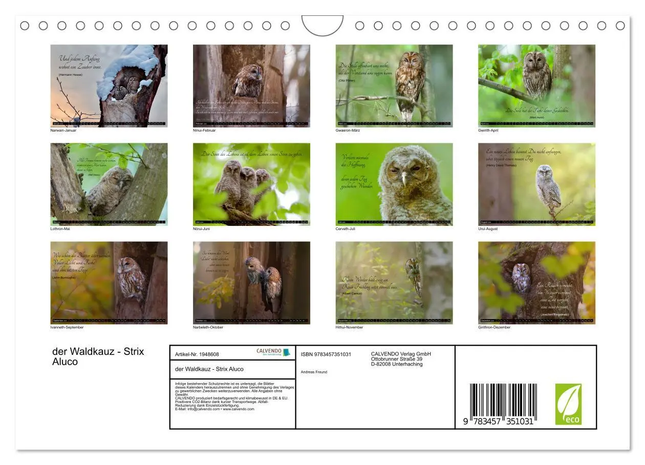 Bild: 9783457351031 | der Waldkauz - Strix Aluco (Wandkalender 2026 DIN A4 quer),...