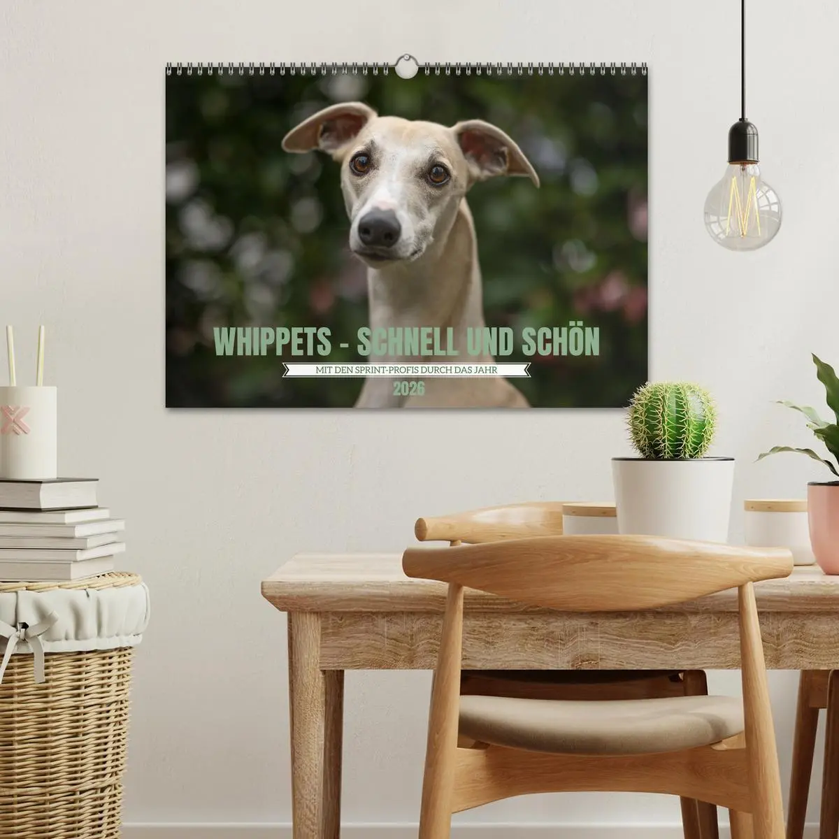 Bild: 9783457591031 | WHIPPETS - SCHNELL UND SCHÖN (Wandkalender 2026 DIN A3 quer),...