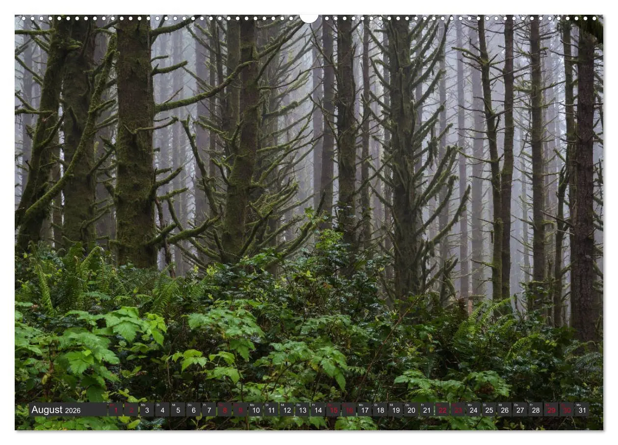 Bild: 9783457731031 | Traumziel Oregon (hochwertiger Premium Wandkalender 2026 DIN A2...