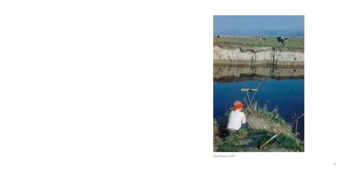 Bild: 9783775761031 | Fred Herzog. A Color Legacy - The new photobook featuring...