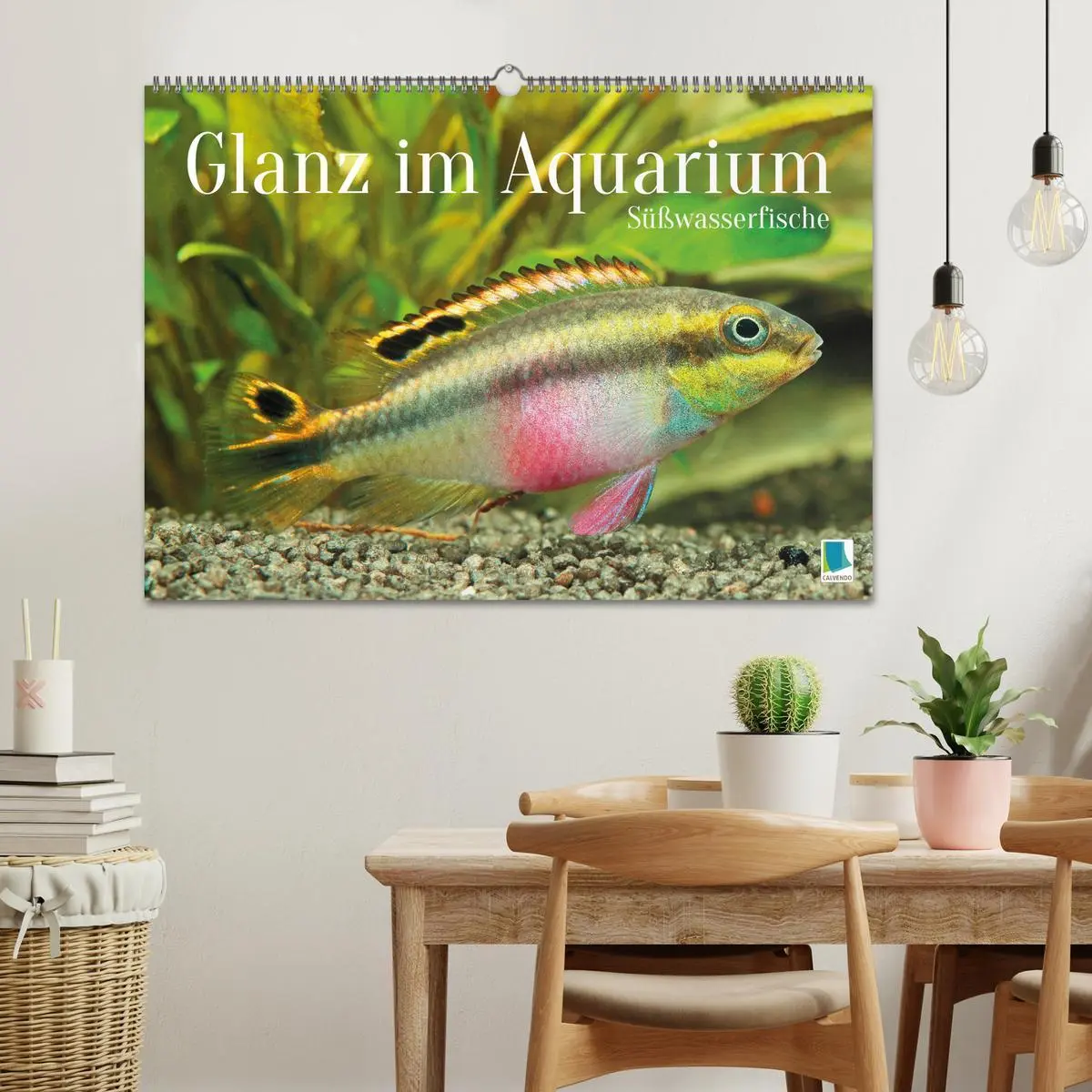 Bild: 9783457271131 | Glanz im Aquarium: Süßwasserfische (Wandkalender 2026 DIN A2 quer),...