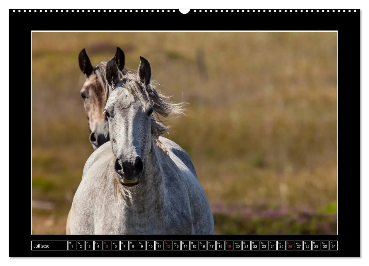 Bild: 9783516121131 | Connemara - Irlands wilder Westen (Wandkalender 2026 DIN A2 quer),...