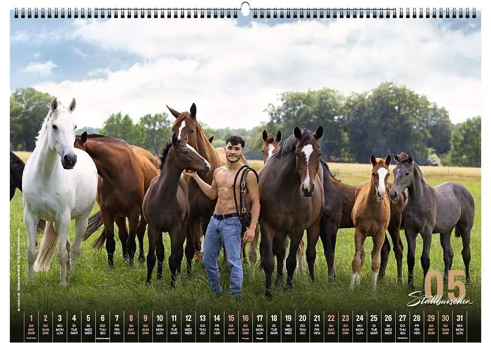 Bild: 9783949471131 | Stallburschen 2027 | creatxx media Verlag | Kalender | Deutsch | 2027