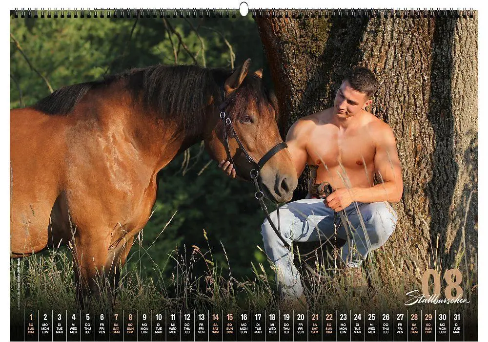 Bild: 9783949471131 | Stallburschen 2027 | creatxx media Verlag | Kalender | Deutsch | 2027
