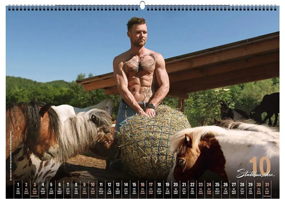 Bild: 9783949471131 | Stallburschen 2027 | creatxx media Verlag | Kalender | Deutsch | 2027