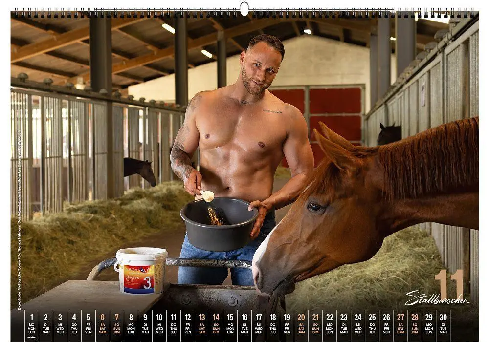 Bild: 9783949471131 | Stallburschen 2027 | creatxx media Verlag | Kalender | Deutsch | 2027