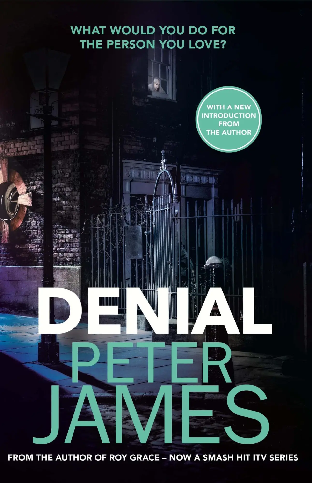 Cover: 9781409181231 | Denial | Peter James | Taschenbuch | Kartoniert / Broschiert | 2021