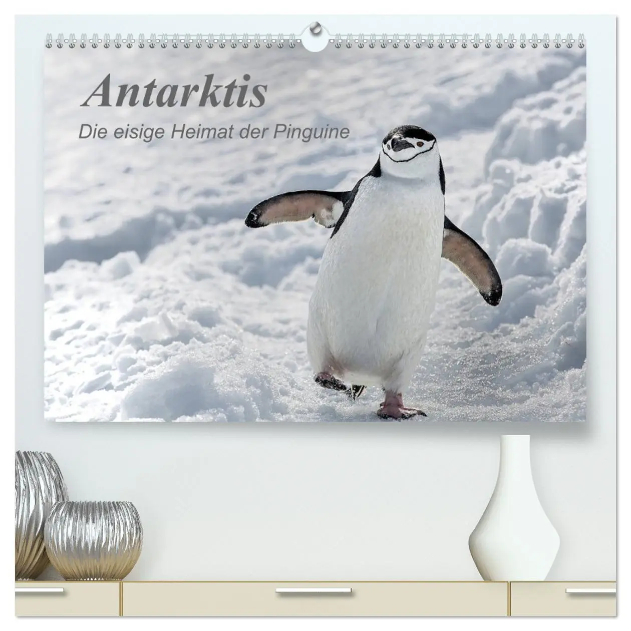 Cover: 9783457711231 | Antarktis, die eisige Heimat der Pinguine (hochwertiger Premium...