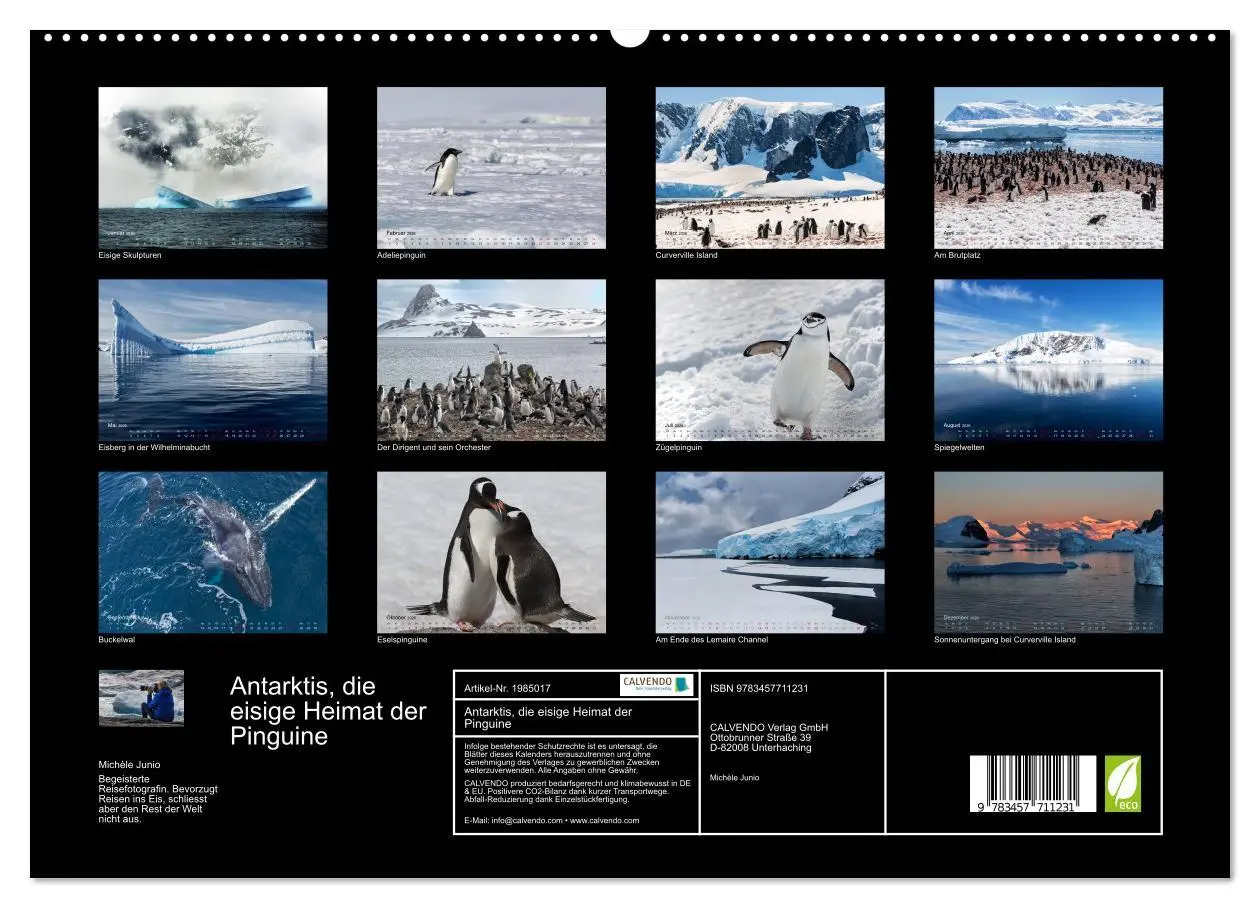 Bild: 9783457711231 | Antarktis, die eisige Heimat der Pinguine (hochwertiger Premium...