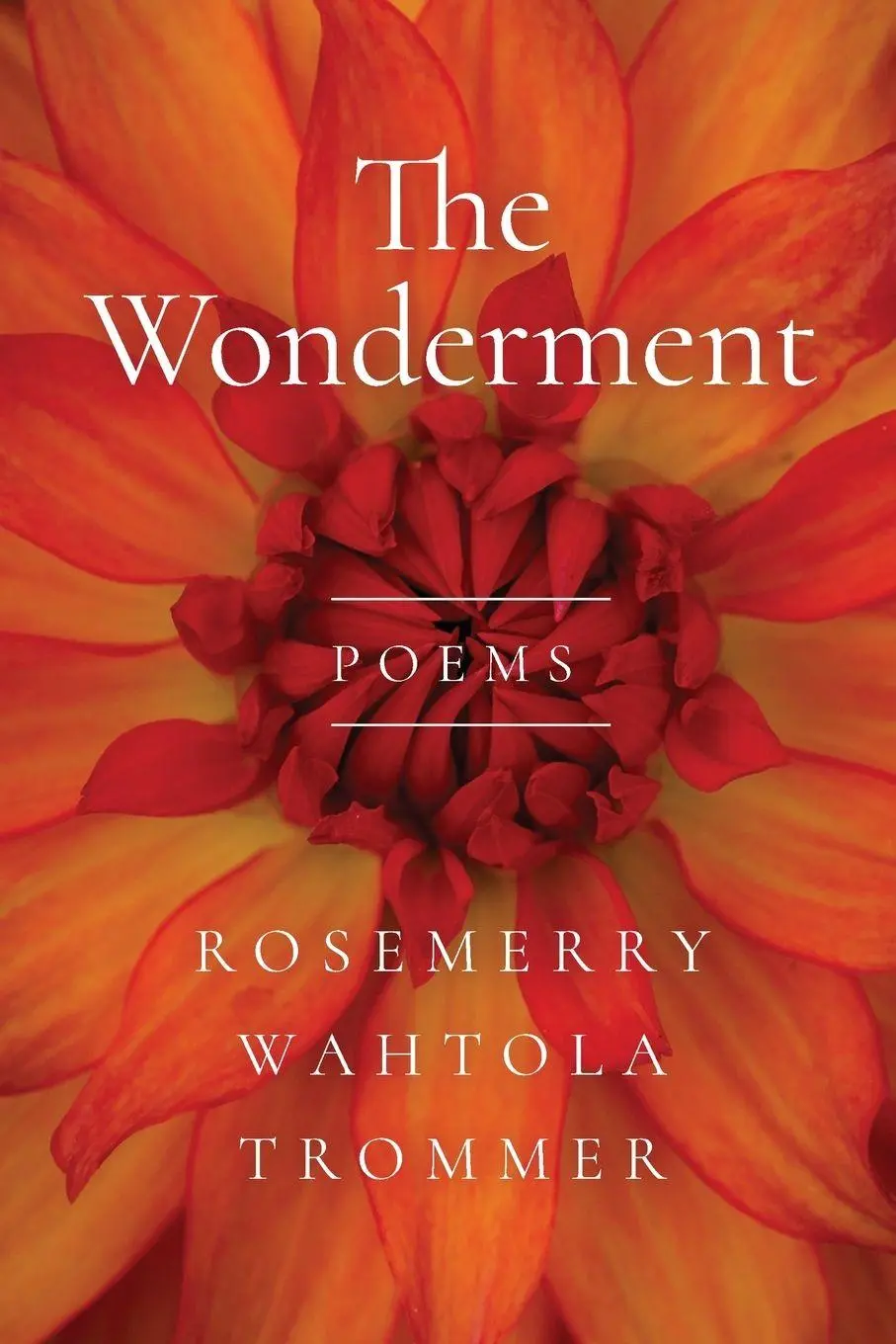 Cover: 9781961741331 | The Wonderment | Rosemerry Wahtola Trommer | Taschenbuch | Englisch