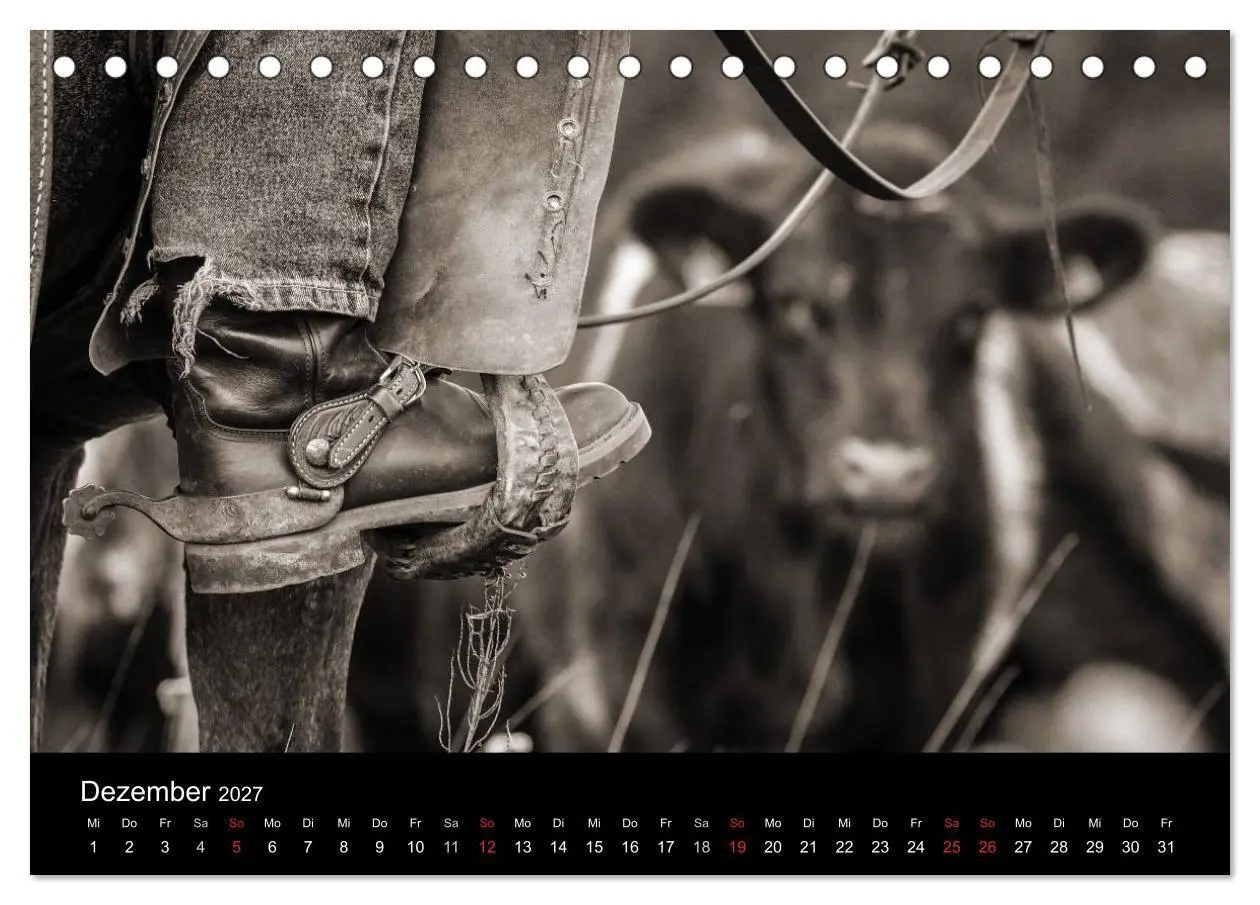 Bild: 9783569981331 | Westernreiten (Tischkalender 2027 DIN A5 quer), CALVENDO...