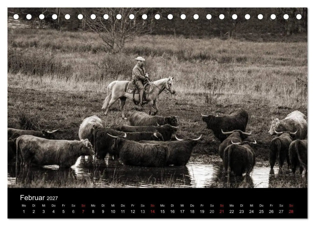 Bild: 9783569981331 | Westernreiten (Tischkalender 2027 DIN A5 quer), CALVENDO...