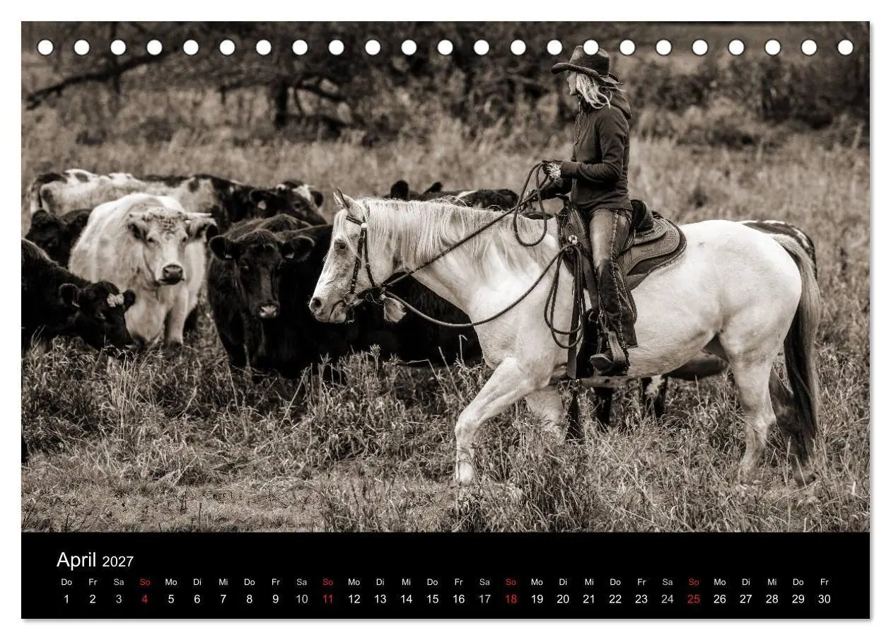Bild: 9783569981331 | Westernreiten (Tischkalender 2027 DIN A5 quer), CALVENDO...