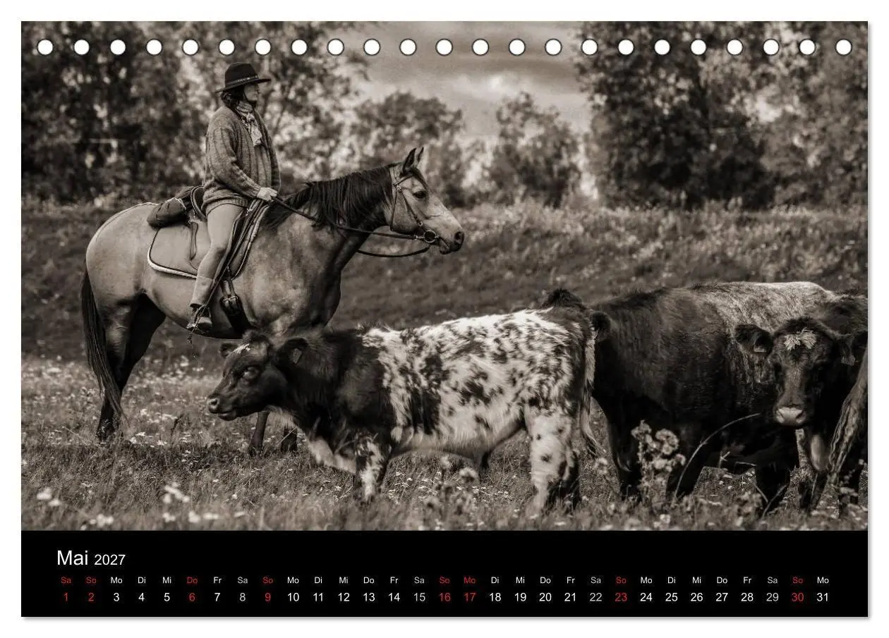 Bild: 9783569981331 | Westernreiten (Tischkalender 2027 DIN A5 quer), CALVENDO...