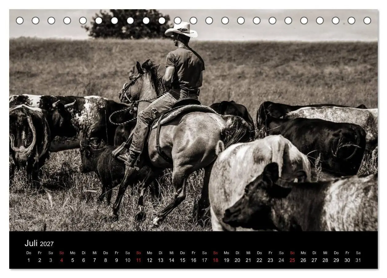 Bild: 9783569981331 | Westernreiten (Tischkalender 2027 DIN A5 quer), CALVENDO...