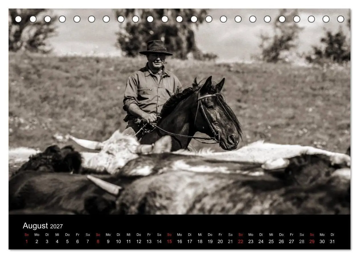 Bild: 9783569981331 | Westernreiten (Tischkalender 2027 DIN A5 quer), CALVENDO...