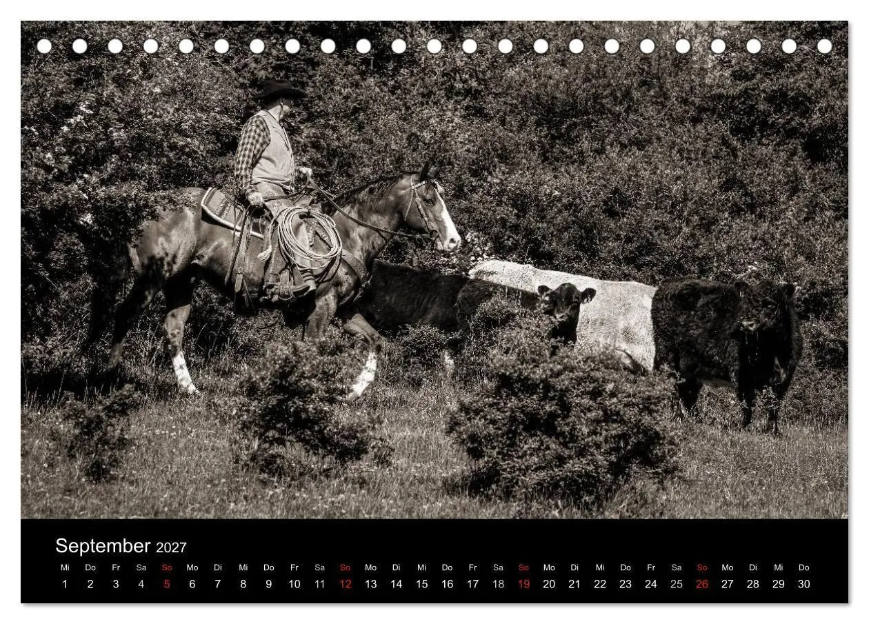 Bild: 9783569981331 | Westernreiten (Tischkalender 2027 DIN A5 quer), CALVENDO...
