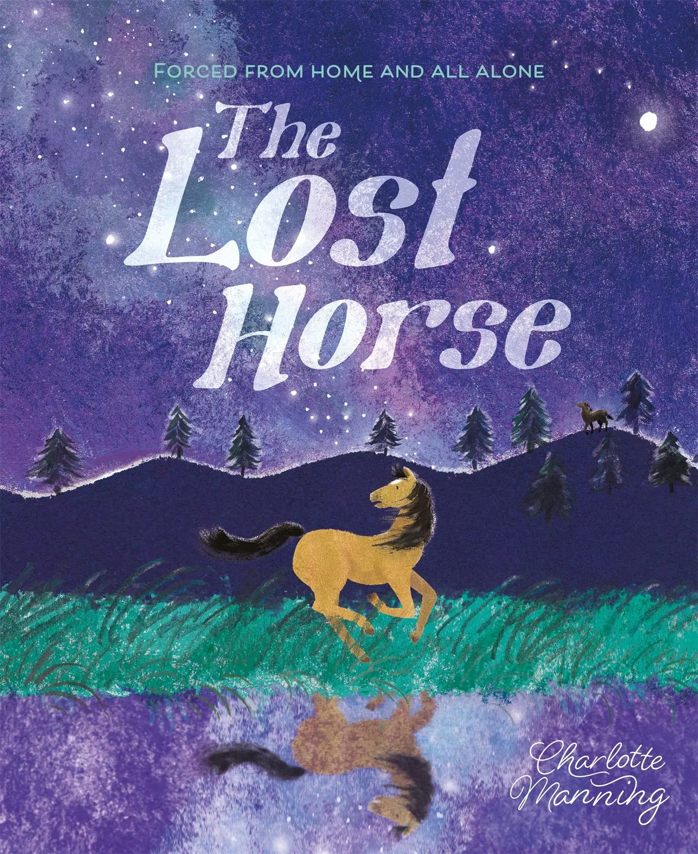 Cover: 9781445181431 | The Lost Horse | Forced from home and all alone | Charlotte Manning
